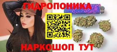 PSILOCYBIN Кимры