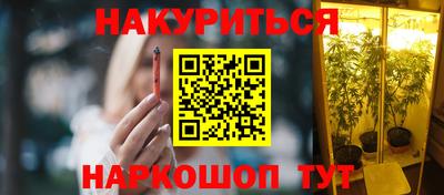 не бодяженный Кингисепп